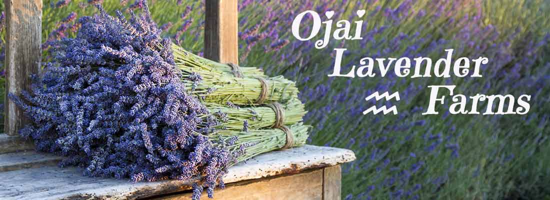 Ventura County Lavender Field in Ojai